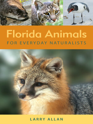 cover image of Florida Animals for Everyday Naturalists